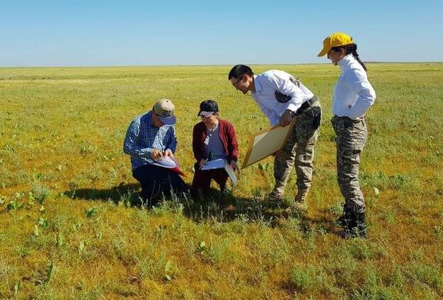 Деградация пастбищ Казахстана